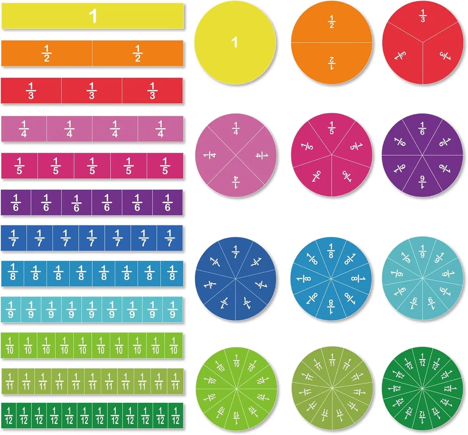 156 Pezzi di Tessere Magnetiche per Frazioni e Cerchi, 12 Colori Codificati per l'Apprendimento Matematico dei Bambini