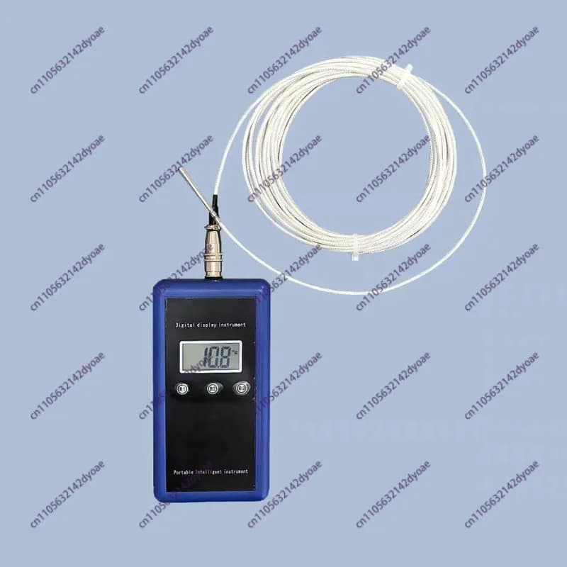 Termometro Digitale Portatile con Sensore PT100, Cavo da 6M, Display LCD ad Alta Precisione per Misurazione della Temperatura dell'Acqua
