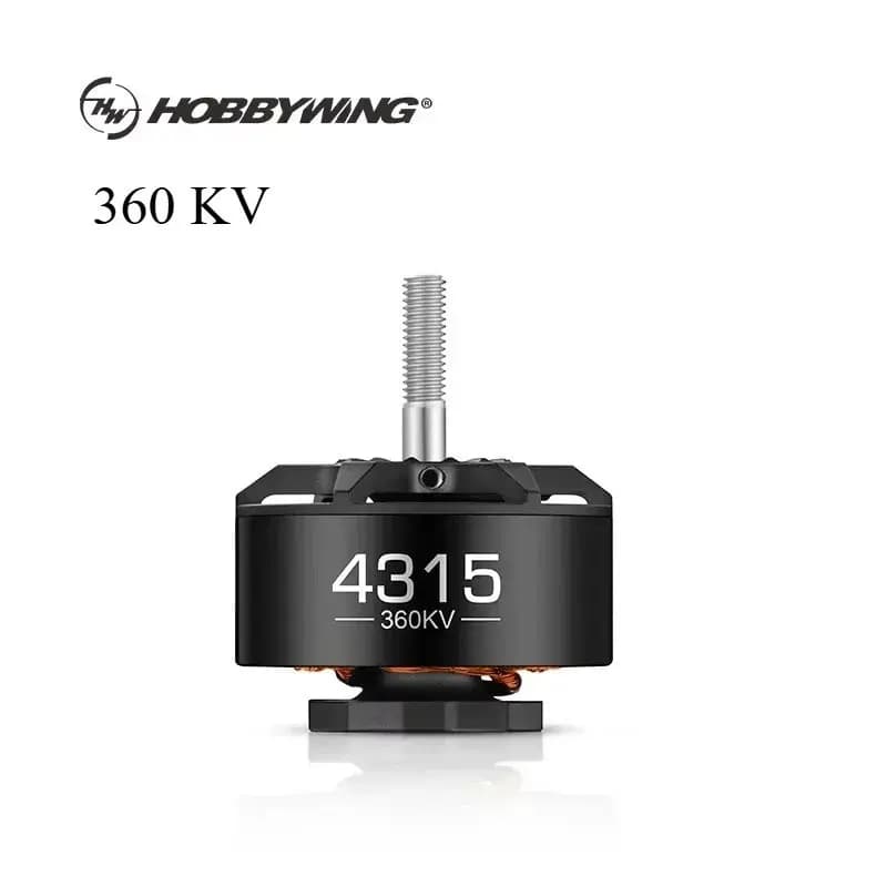 Hobbywing 4315-360KV 8S Motore Brushless per Elicotteri Multirotore FPV da 15 pollici Aerei RC Drone BLDC Accessori Motore
