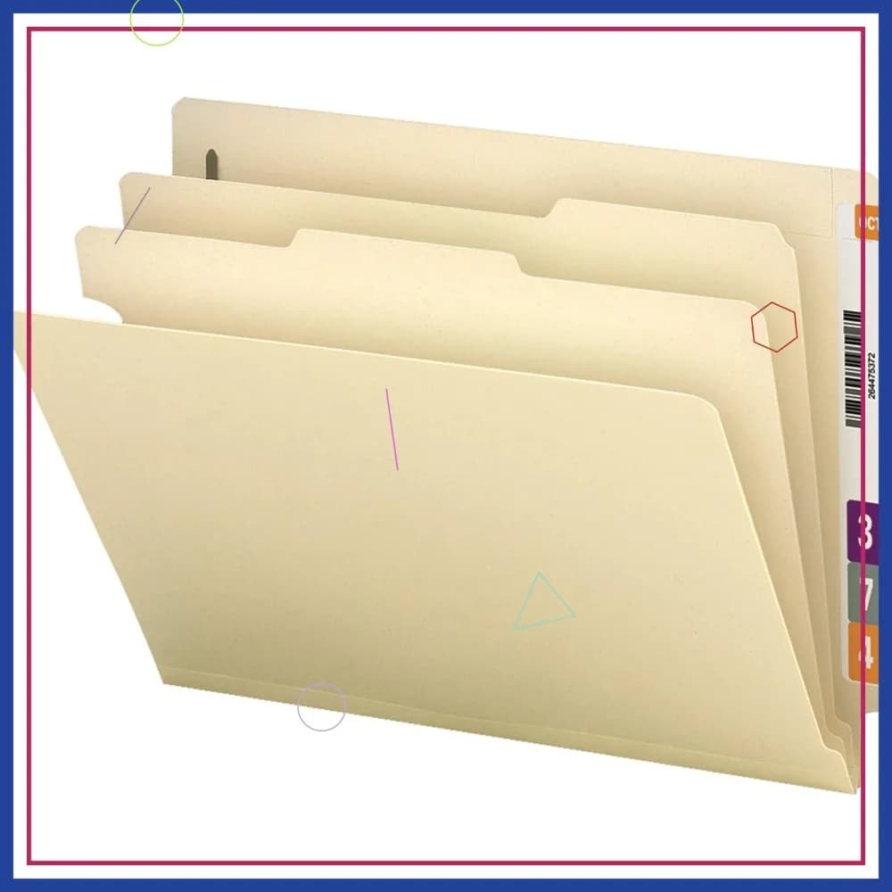 Cartelle Classificatrici con Linguette, 2 Divisori, Espansione di 2 Pollici, Formato Letter, Manila, Confezione da 10