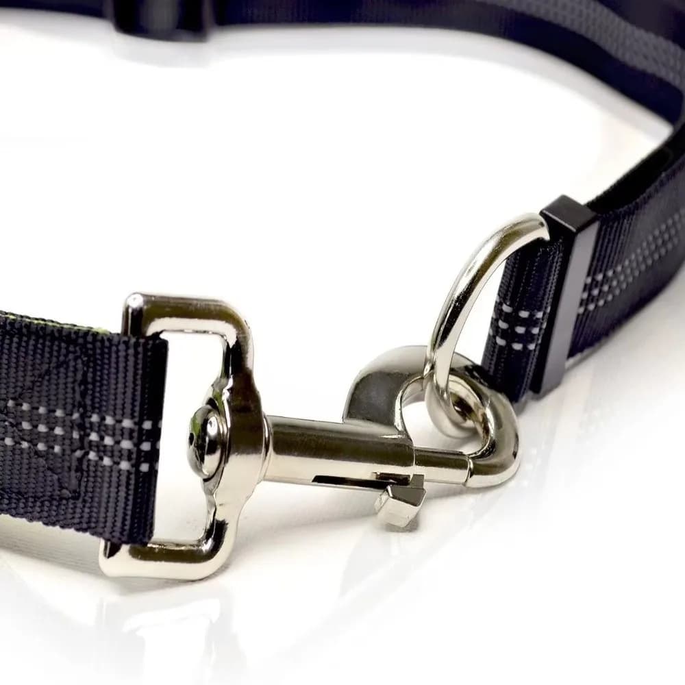 Dog Accessories Double Stretch Pet Walking Leash Reflective Waist Belt Running Dog Leash Elastic Dog Traction Rope for Dogs Cats