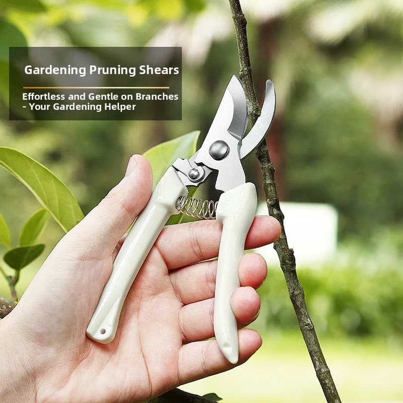 Forbici da potatura per giardino, forbici per composizioni floreali domestiche, rami di alberi da frutto, rami di fiori, bonsai, forbici da giardinaggio