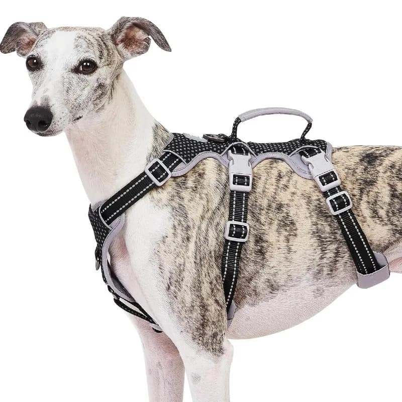 Pet Chest Strap Fine Dog Whibbit Lingti Anti Break Dog Vest Dog Traction Rope Pet Supplies Dogs Accessories