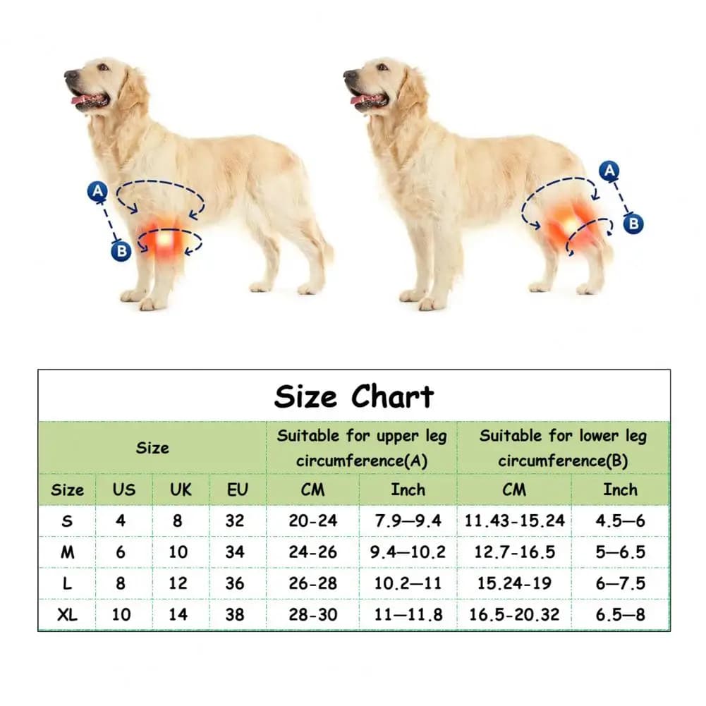 Supporto per la dislasia canina supporto per la gamba del cane di supporto per le lacrime della gamba posteriore anteriore cintura per il recupero dell'animale domestico per il supporto del ginocchio facile per lesioni