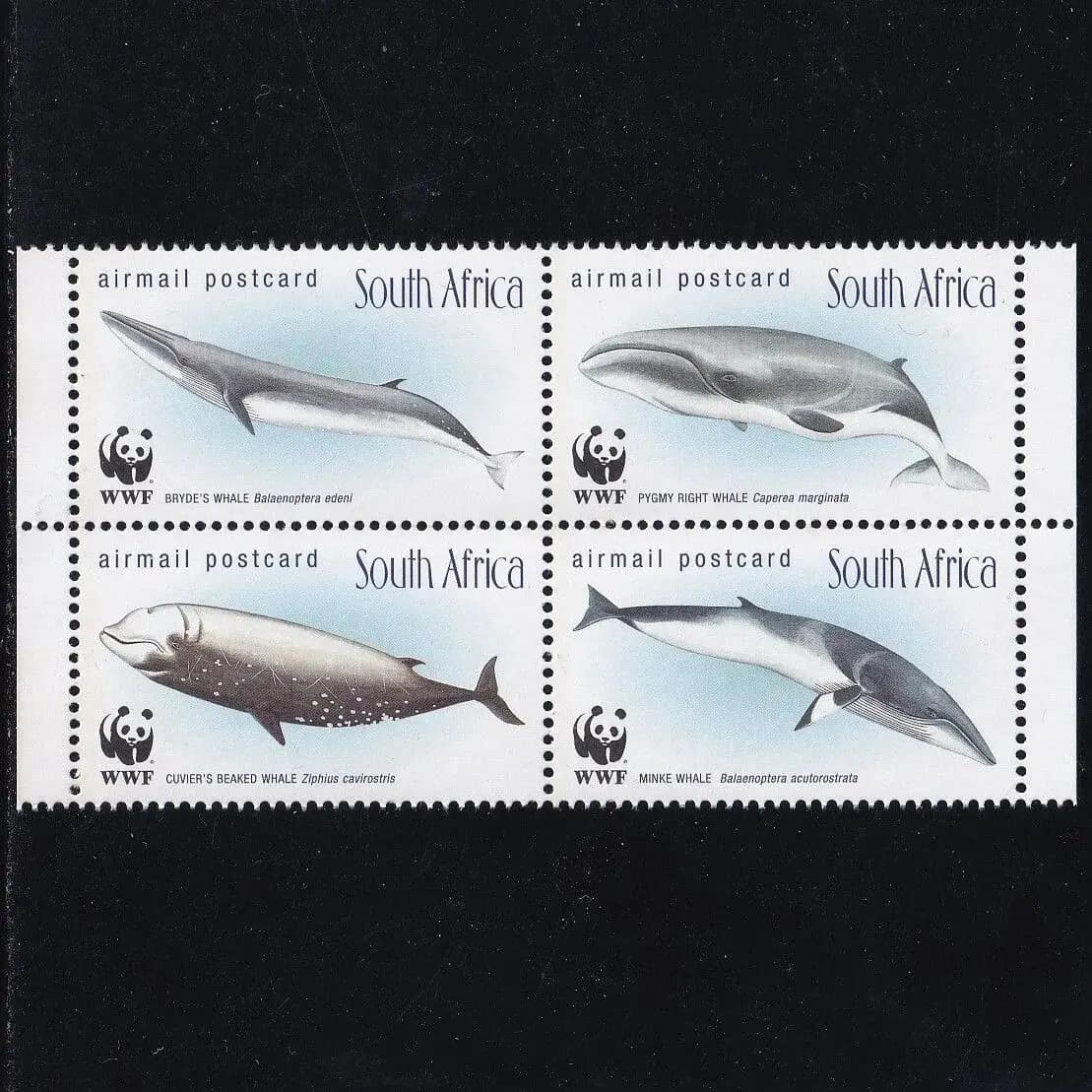 South Africa Post Stamps Postage Y1998 Beaked Whale Minke Whale 1 Set 4 New Collectible Postage Stamps Material For Scrapbooking