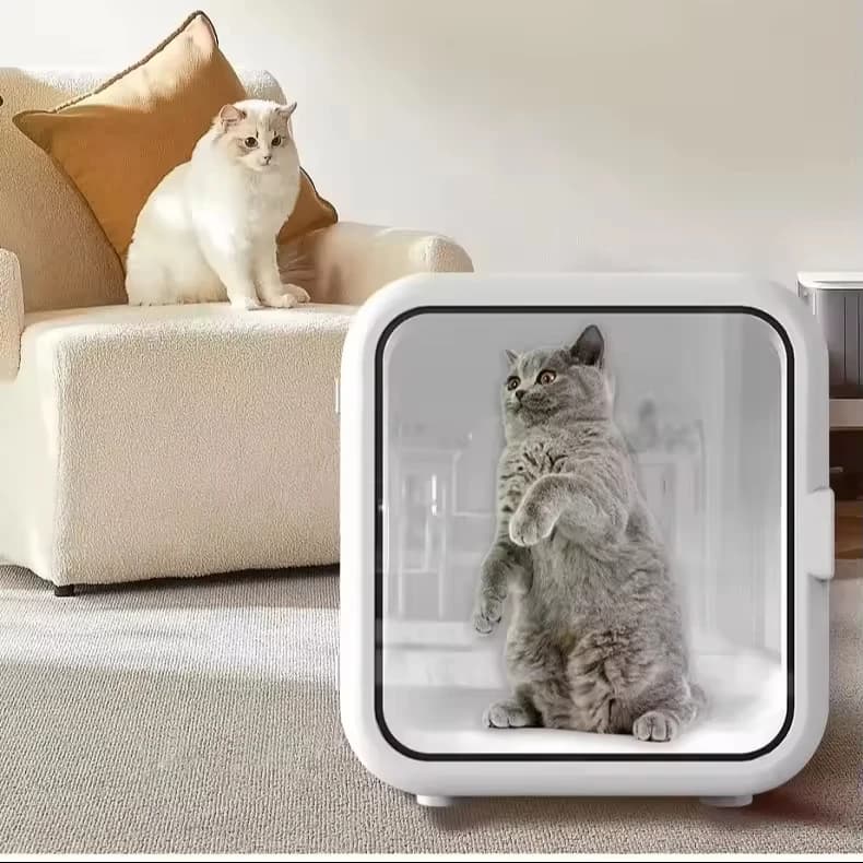 2026 SELL Europa Giappone Personalizzato 60L Eco-compatibile Silenzioso Asciugatore Automatico per Peli di Animali Domestici con Controllo APP Intelligente Moderno per Cani e Gatti