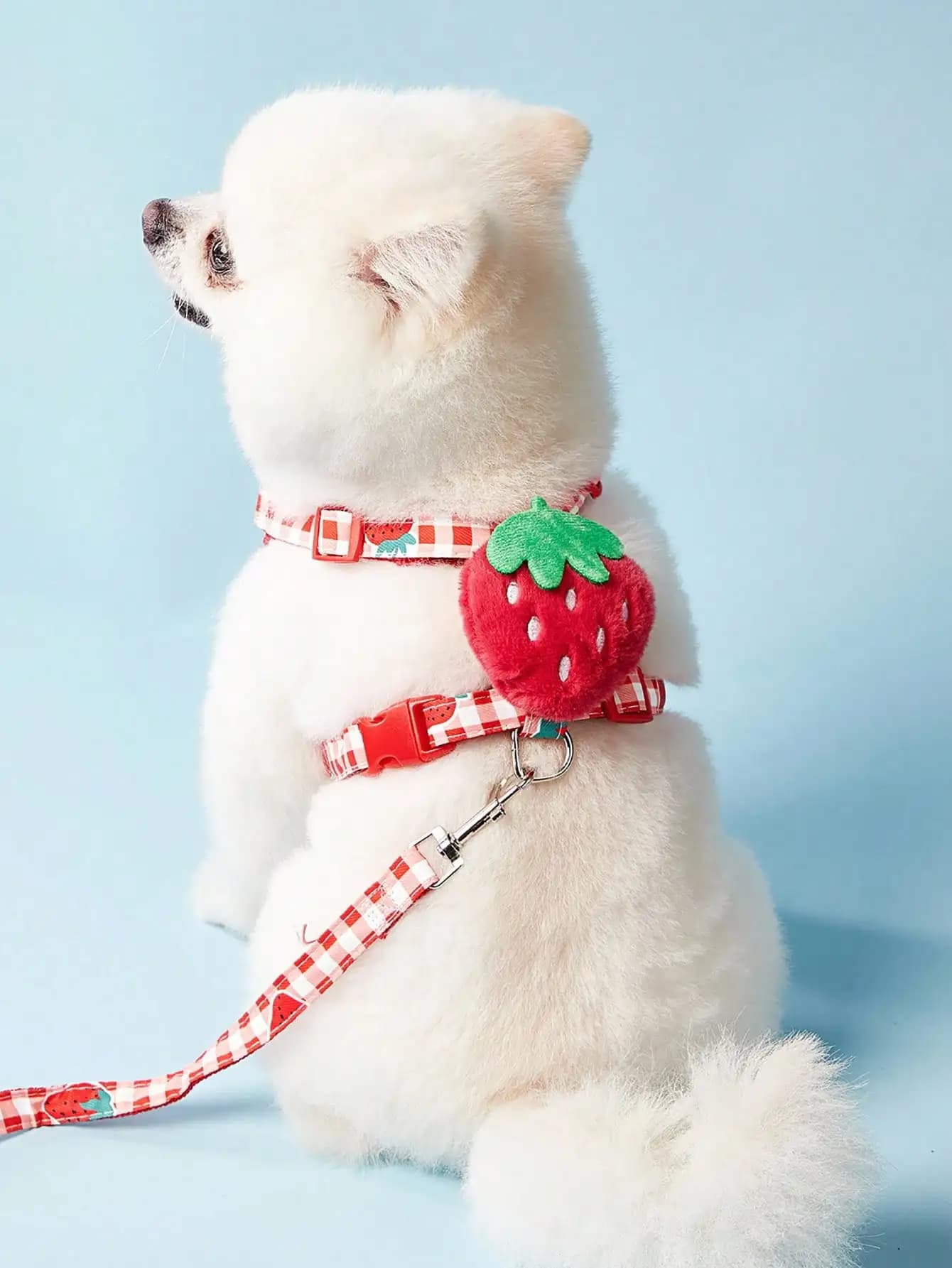 PETSIN Set di guinzaglio e pettorina per cani e gatti con motivo a fragole rosse a quadretti, adatto per cani e gatti