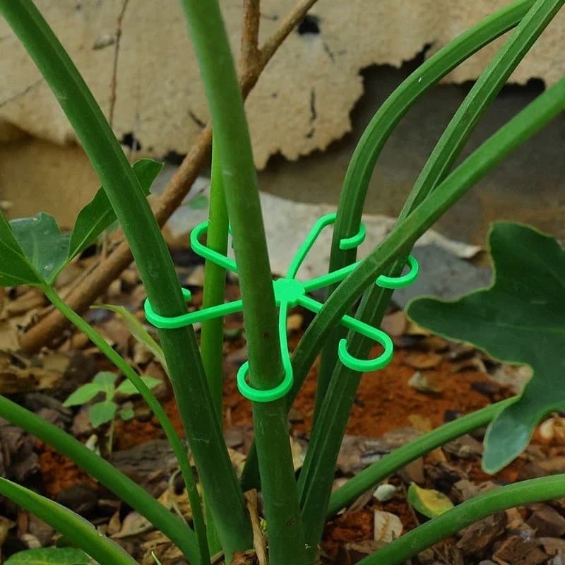 4 Pezzi di Supporti per Steli di Piante, Clip per Fissaggio Steli, Supporto Anti-Ribaltamento per Piante in Vaso come Monstera Deliciosa