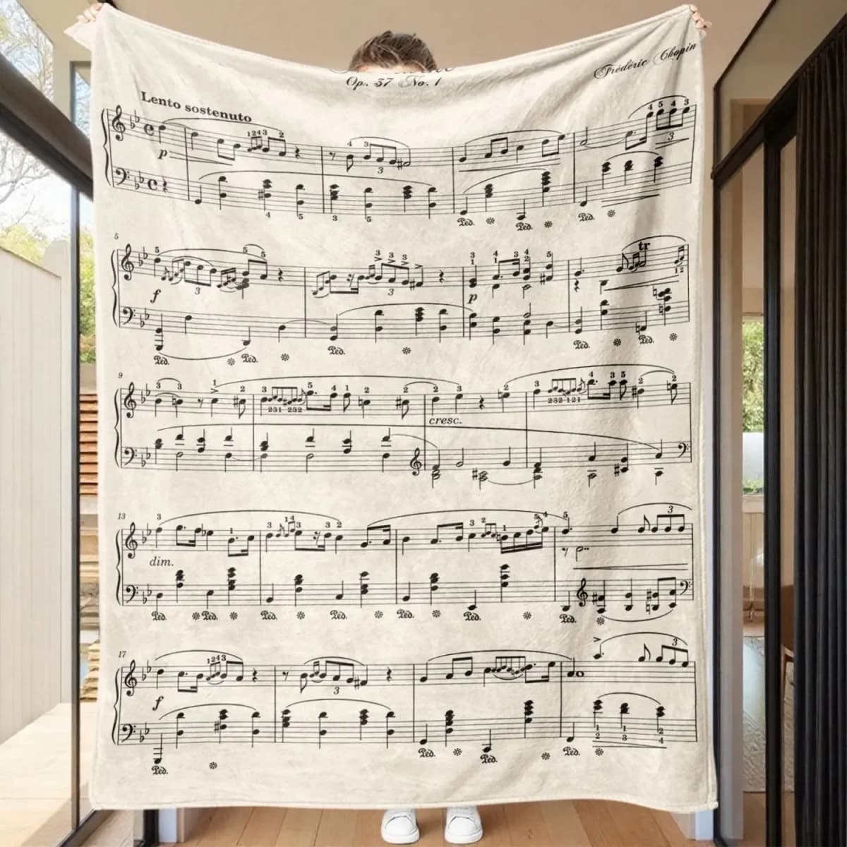 Piano Music Sheet Blanket Flannel Music Notes Throw Blankets for Teacher Adult Kids Music Lovers Gifts Decor for Home Bed Couch