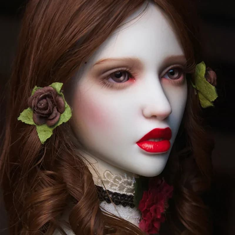 Dollshe DS Aman Da Beauty 26F Classic Bjd Sd Doll 1/3 Body Model Oueneifs High Quality Resin Toy Free Eye Beads Shop
