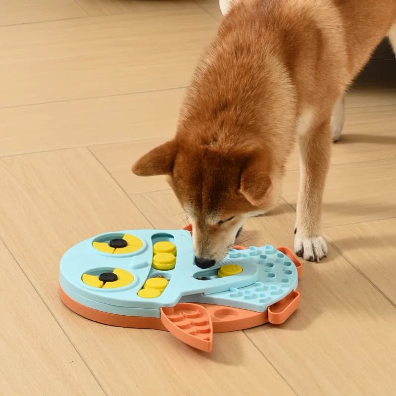 Articoli per animali domestici, Giocattoli educativi per cani, Ciotole per alimentazione lenta, Ciotole anti-lavaggio, Ciotole antiscivolo per cani, Ciotole per gatti