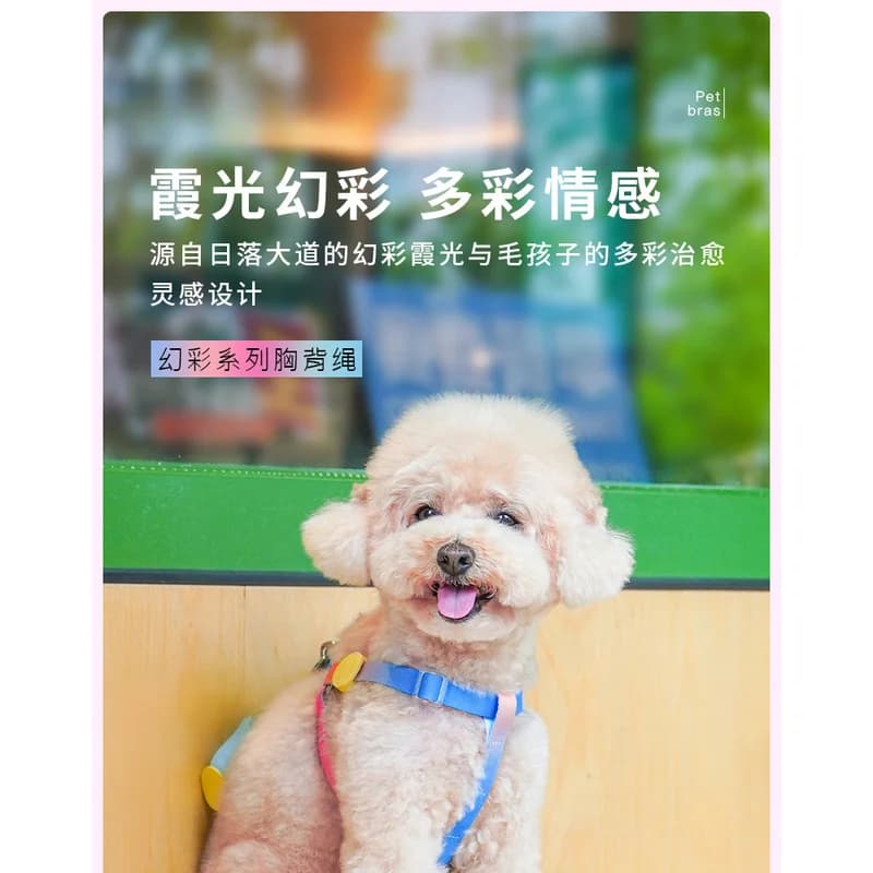 Iridescent Dog Vest Harness Matching Walking Leash Lightweight Chest Strap Small Teacup Dogs Outdoor Pet Accessory