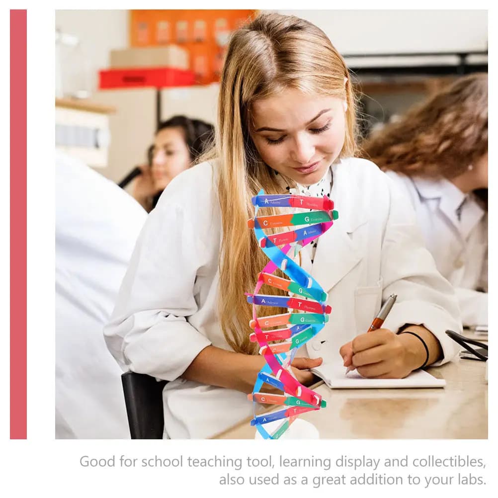2 Pezzi Modello Educativo di DNA a Doppia Elica, Strumento Didattico Scientifico per l'Apprendimento della Biologia in Classe, Modello Genetico di DNA