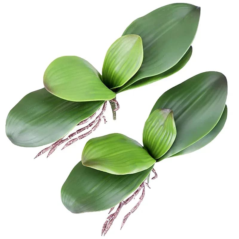 Artificial Phalaenopsis Stems Artificial Phalaenopsis Leaf Flower Cymbidium Green Sheet Real Touch latex Bulk Home Decorations