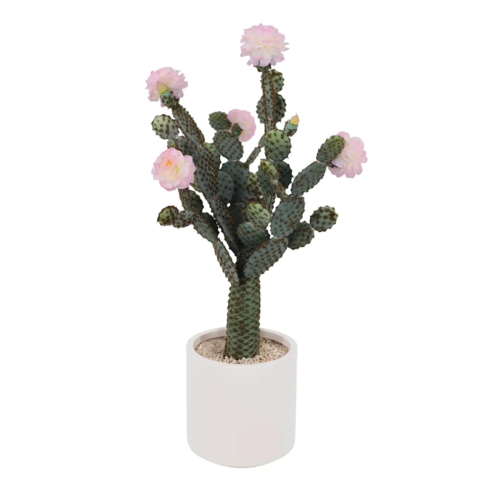 Artificial Cactus, High Fin Plant with Realistic Texture, Cactus Desert Fintus in Vase with Planter for Home and Garden