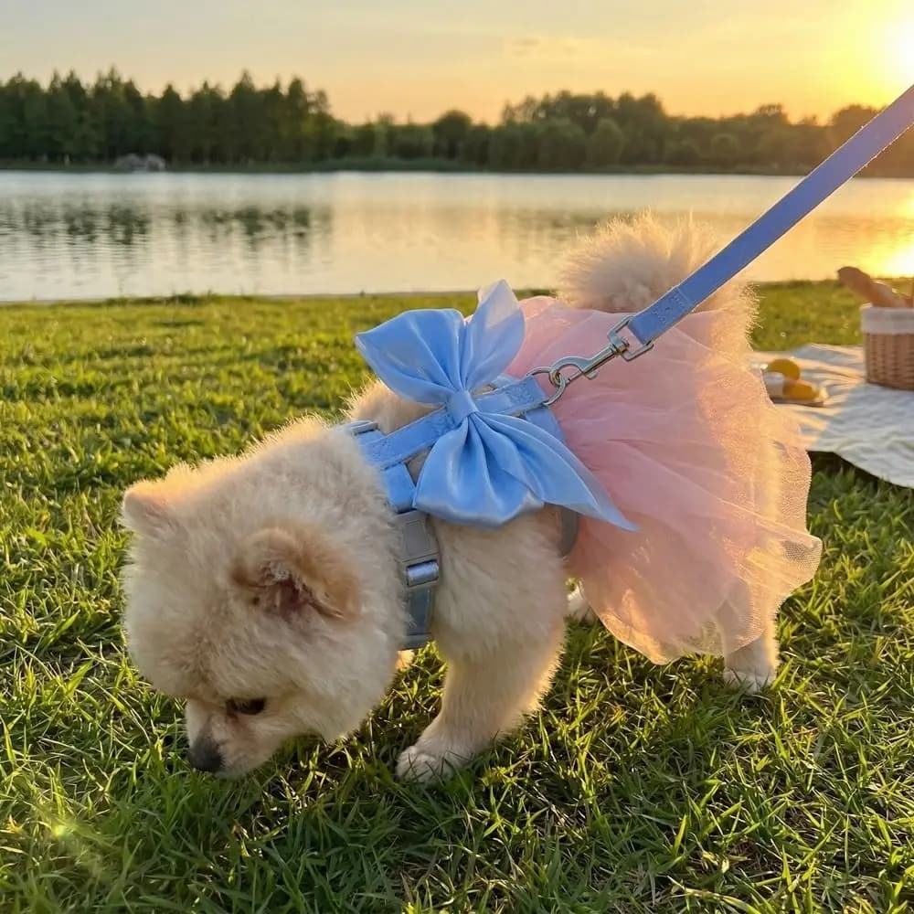 Pettorina Regolabile per Animali Domestici Stile Principessa con Fiocco Carino, Traspirante, Anti-Fuga, per Gatti e Cani, Ideale per Viaggi