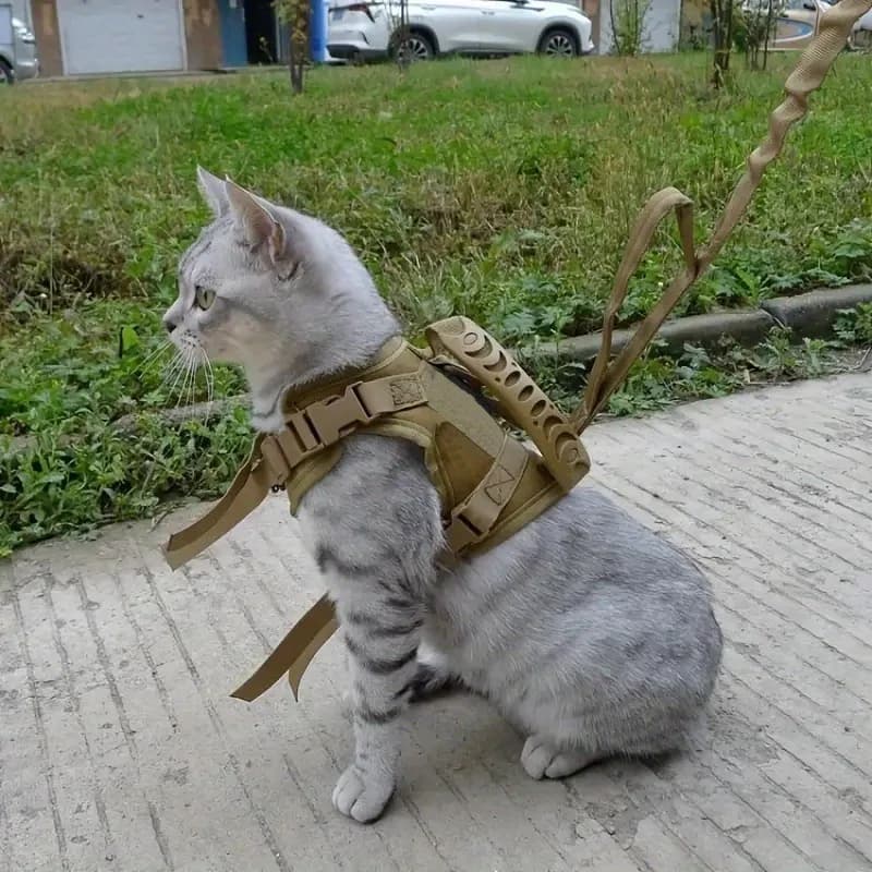 600D Tactical Cat Harness Vest Adjustable Pet Chest Strap Training Vest for Cats Small Dogs Puppies Outdoor Walking
