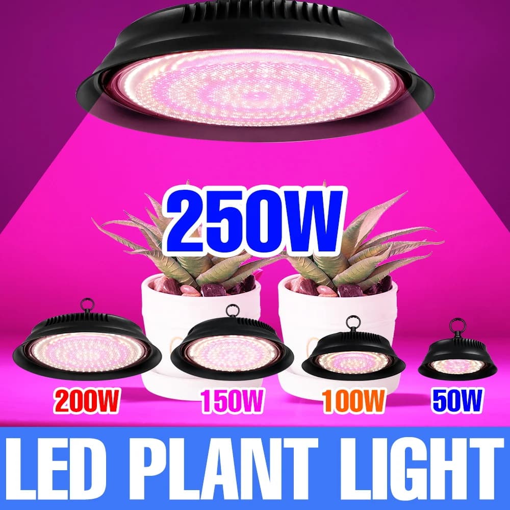 250W LED lamp for full spectrum cultivation, for greenhouses, seeds, hydroponics, lighting for growing vegetables, flowers and fruit.