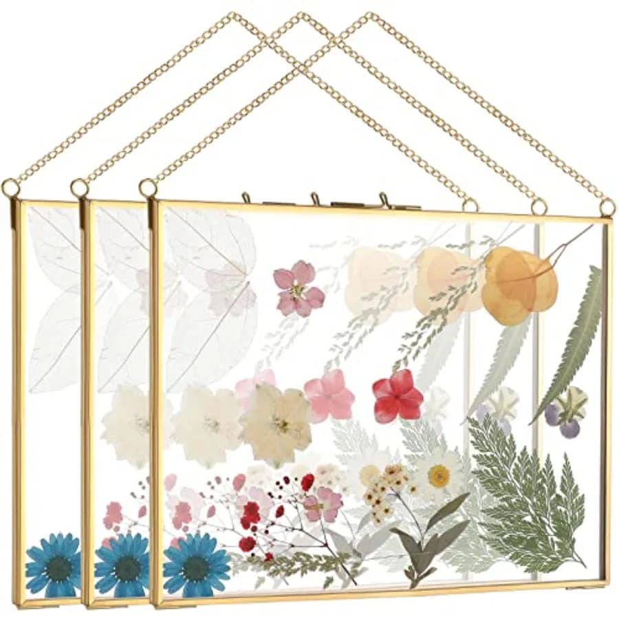 Set di 3 Cornici Doppie in Vetro per Fiori Pressati 8 x 10 Pollici, Cornice Fluttuante in Ottone per Foto e Opere d'Arte con Catena W