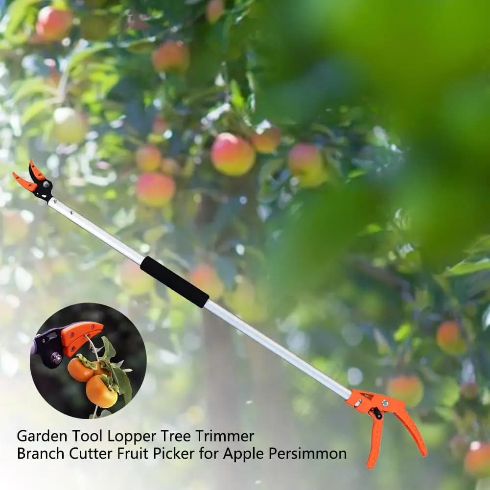 1M Telescopic Fruit Picker and Pruner - 2 in 1 Garden Picking Shears with Bypass Blade, Long Reach Branch Trimmer for Grape Pers