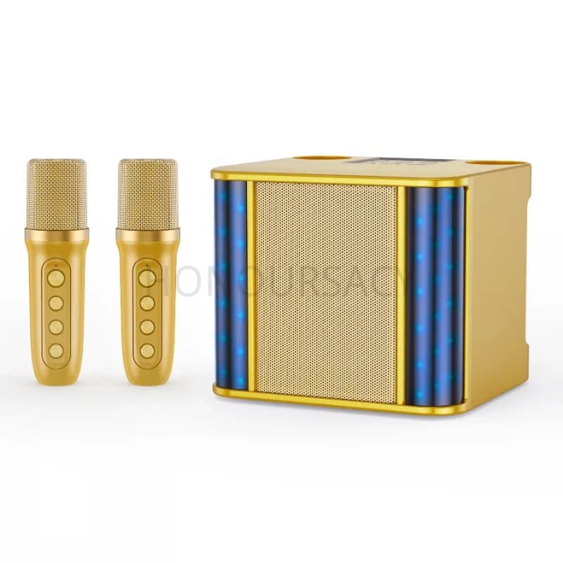 Cassa audio karaoke wireless 2-Mic con luci LED, suono HIFI, ricaricabile per uso esterno