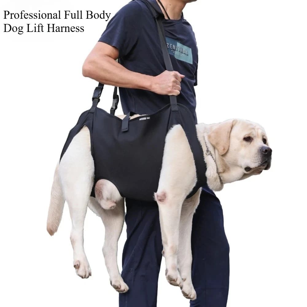 Tuta di Supporto Completo Premium per Cani, Imbracatura di Recupero con Cinghie Morbide Antiscivolo per Cani Anziani con Lesioni Articolari, Displasia dell'Anca, Adatta per Cani Maschi