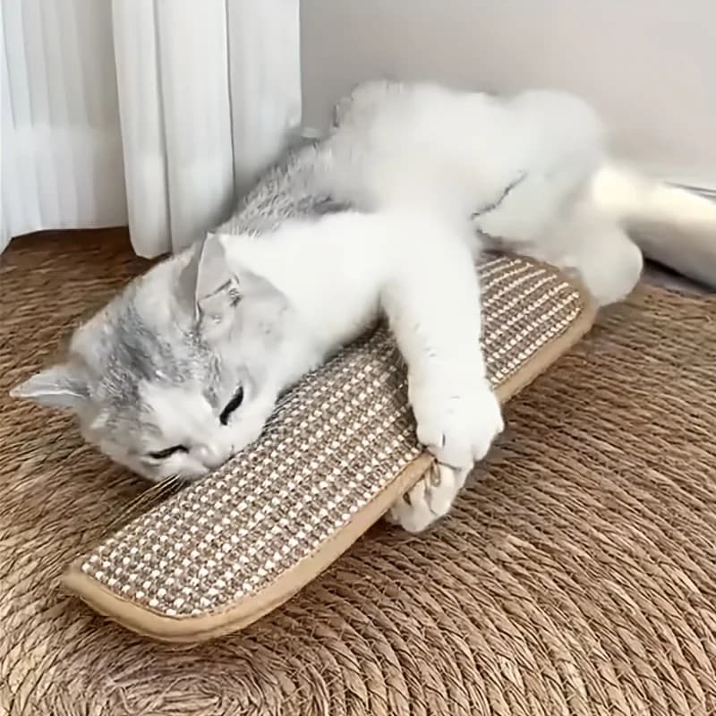 Cat Toy Play Pillow Scratching Pad Suitable for All Breed Sizes, Linen Material,Ideal for Solitary Play and Intimate Interaction