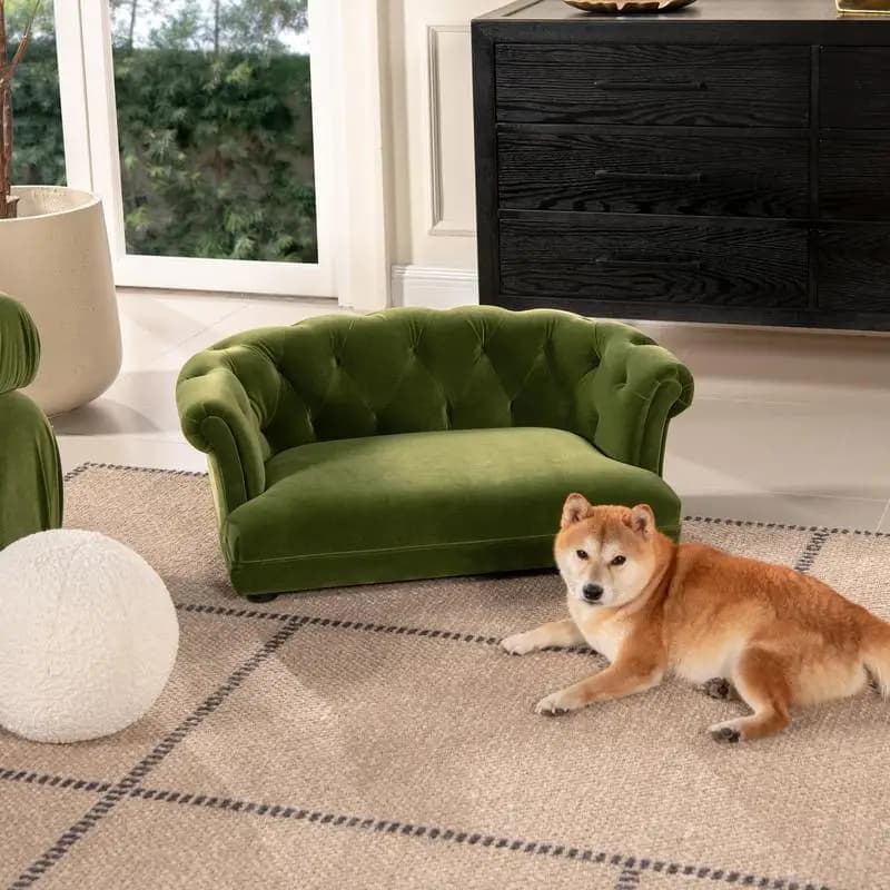 Divano letto per cani Chesterfield in velluto verde oliva medio da 36,5 pollici