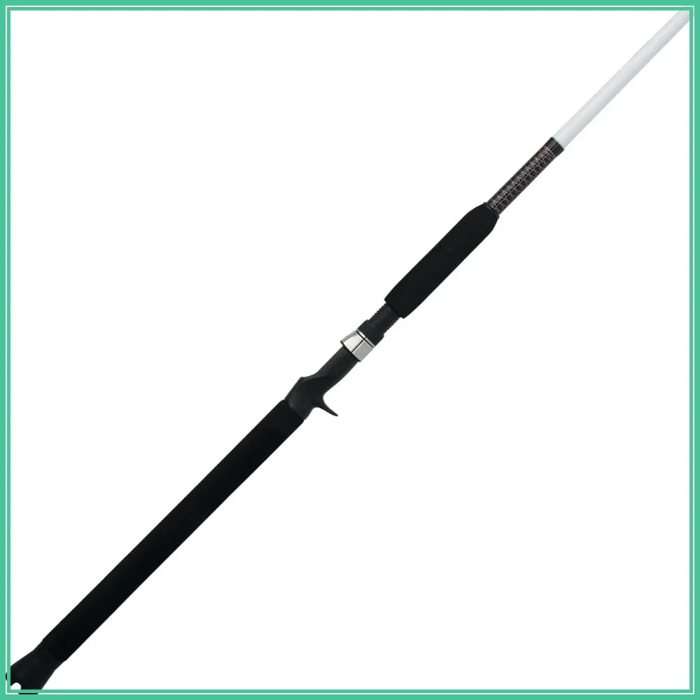 Canna da Pesca Spinning Speciale per Pesce Gatto 7ft Medium Heavy 15-30lb