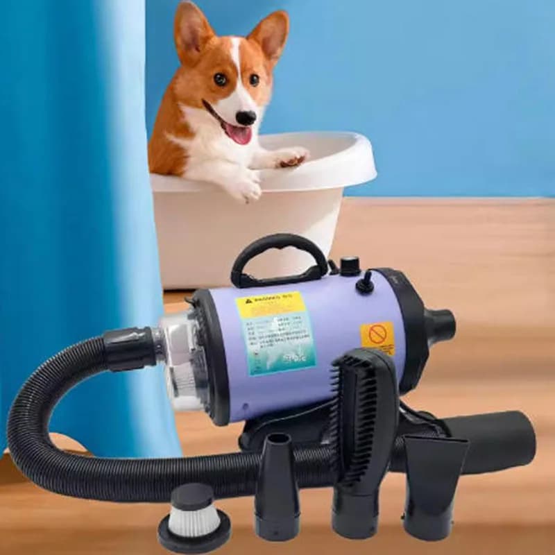 Asciugacapelli per cani multifunzionale Asciugacapelli per cani Asciugacapelli per animali domestici a basso rumore che soffia i capelli che tira l'aspirazione integrata per cani gatti