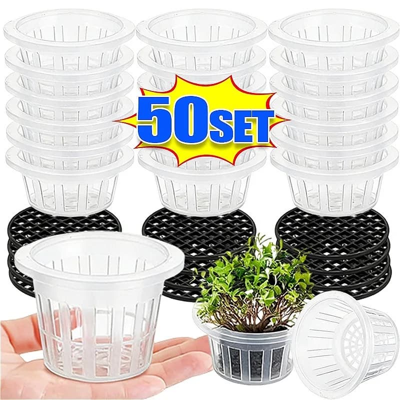 5/50 set Baskets for Hydroponic Cultivation, Transparent Containers for Semenzaio, Anti-loss Cable Baskets for Germination Vegetable Seeds, Garden Furnishings