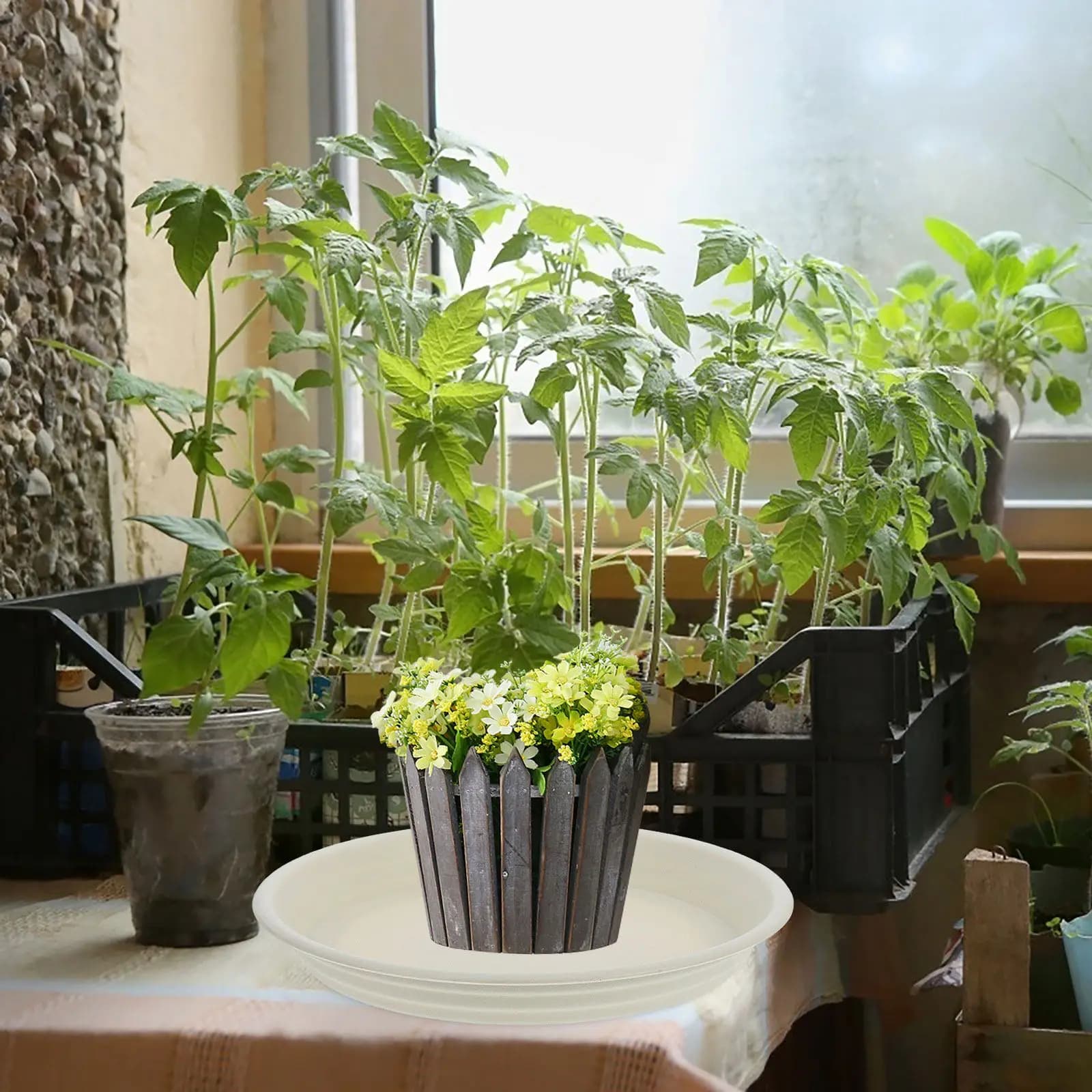 Sottovasi Rotondi per Piante, Base in Plastica Spessa per Vasi da Fiori, Vassoio Raccogli Acqua per Piante da Interno ed Esterno, Accessori per Giardino e Patio