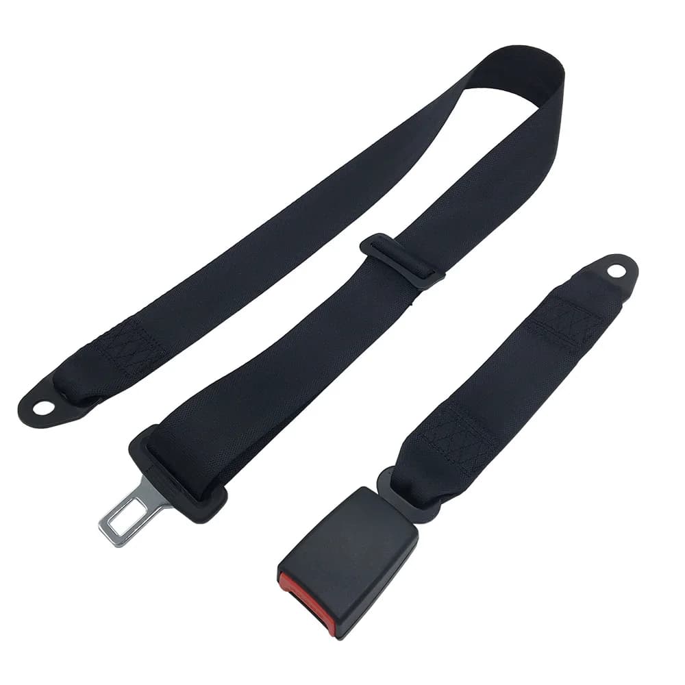 Cintura di Sicurezza a 2 Punti Resistente da Indossare in Vita per Giostre, Cinture di Sicurezza per Auto con Linguetta Antirottura