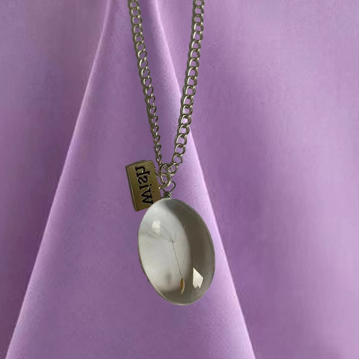 Handmade Natural Tarassaco Seeds Do-it-yourself and Wish Pendant Flower Necklace Double Face Dry Women's Long Necklace