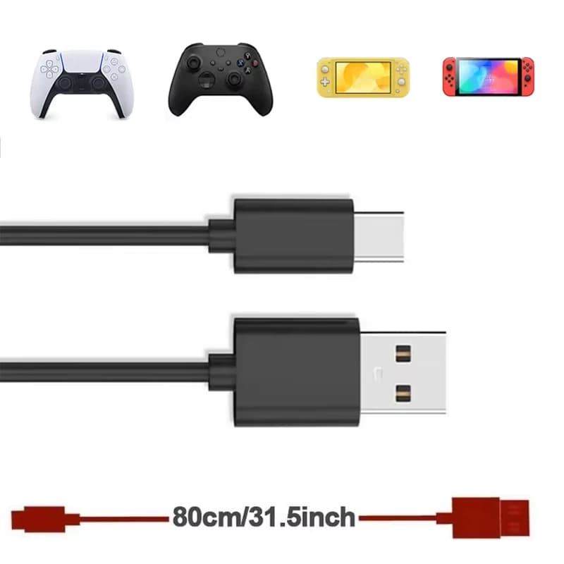 Cavo di ricarica di tipo C per console Nintendo Switch/Oled/Lite Cavo di alimentazione Cavo USB C per accessori controller Android / PS5