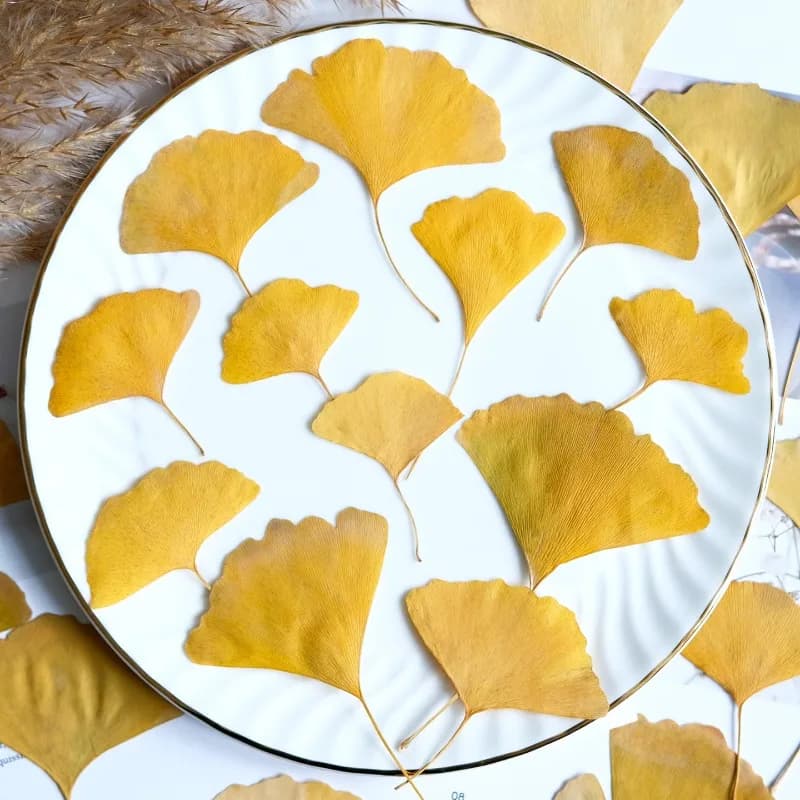 12pcs,Real Ginkgo Pressed Flower Retro Bookmark Material Kit,Eternal Dry Flower DIY Journal Scrapbook Craft Making Supplies
