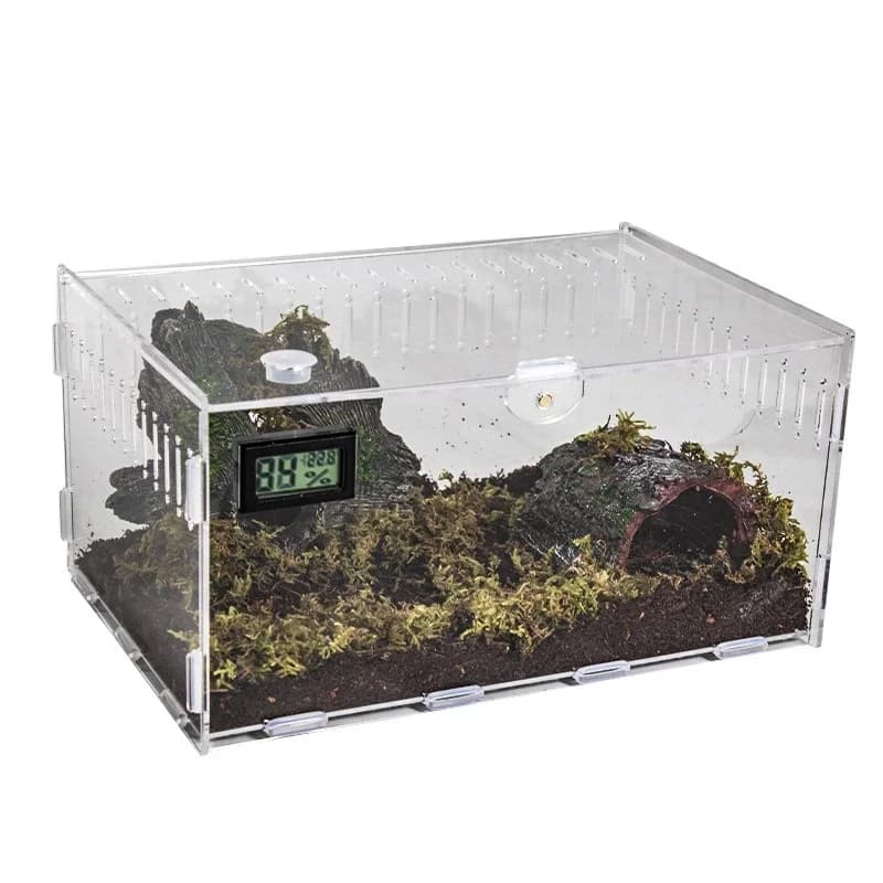 Custodia per terrario in acrilico con termometro per rettili e invertebiti Display da tavolo per regalo per bambini per hobbisti