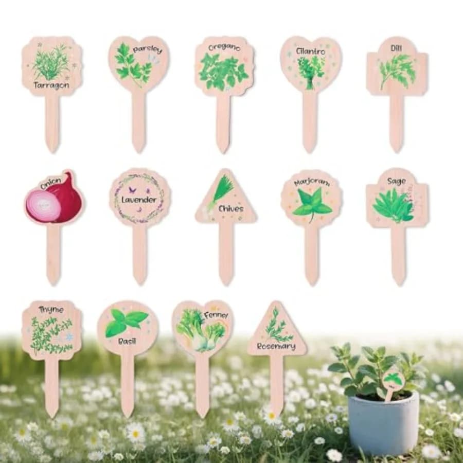 15 Etichette per Piante in Legno Impermeabili, 15 Stili con Motivi Vivaci Abbinati per Giardino e Piante in Vaso