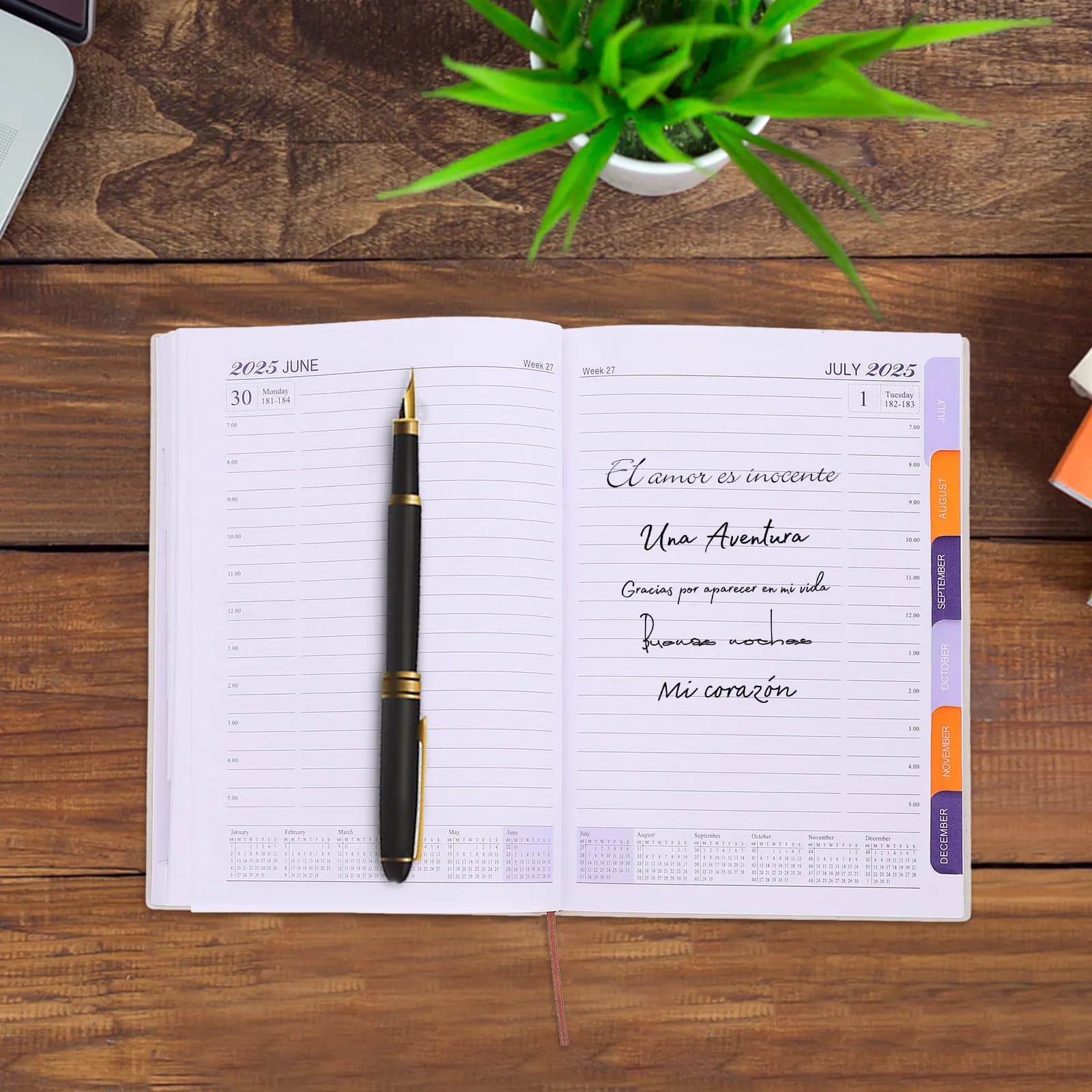 Daily Planner Notebook 2025 A5 Size Portable Smooth Writing Multi-Function Daily Weekly Monthly Agenda Scheduler