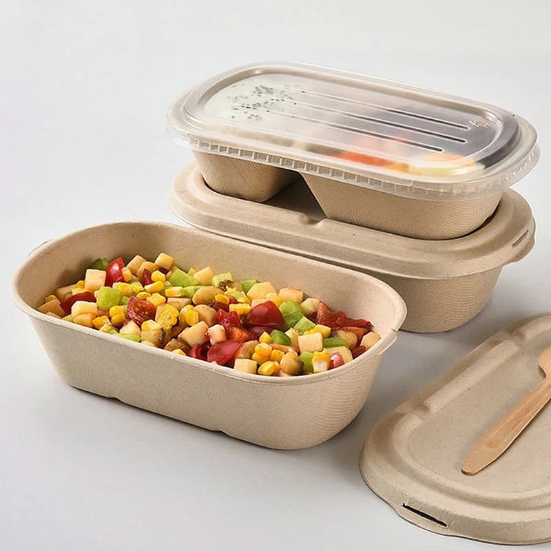10/50PCS Disposable Takeaway Boxes Lunch Boxes Light Salad Containers Biodegradable Paper Pulp Food Packaging Boxes