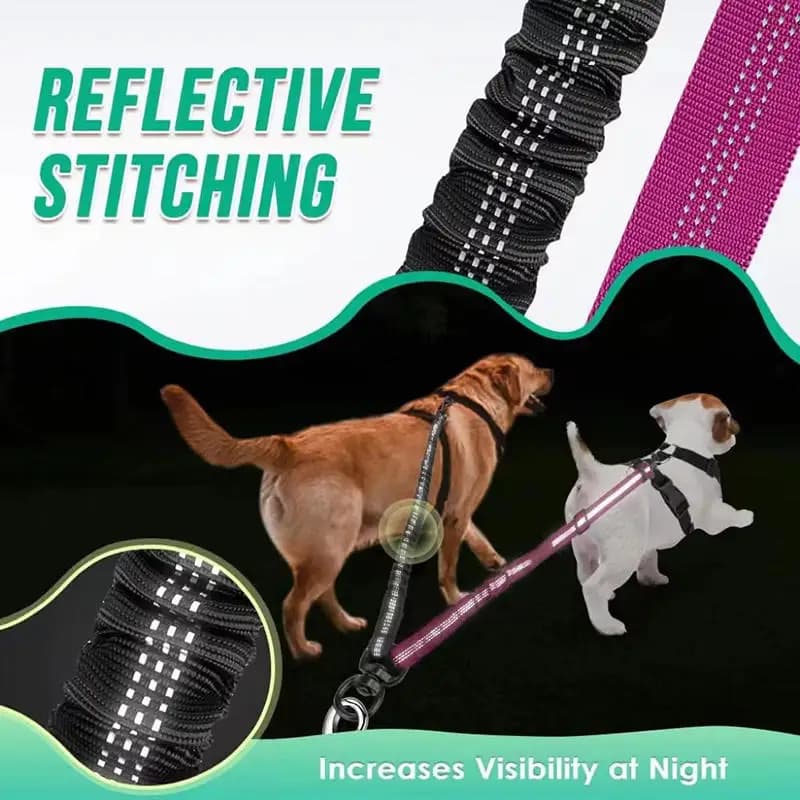 Guinzaglio per Cani di Taglia Grande, Resistente alle Esplosioni, Regolabile, Retrattile Automatico, 1 Trascina 2, per Cani