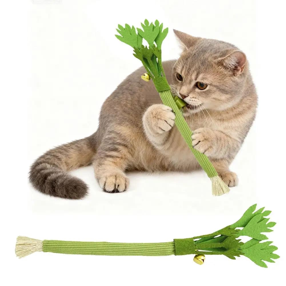 1/3 Pezzi Giocattoli Interattivi da Masticare per Gatti, Bastoncini Naturali di Silver Vine, Giocattoli in Corda di Sedano e Catnip per la Pulizia dei Denti e la Cura Dentale per Gatti da Interno