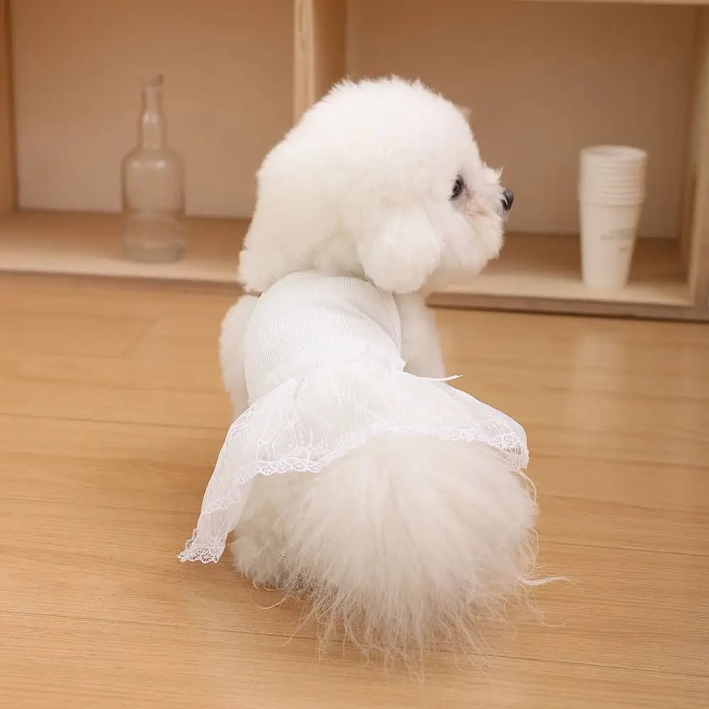 Pet Supplies Lace Pet Princess Dresses Fashion Breathable Cat Suspender Skirt Soft Thin Design Dog Vest Autumn