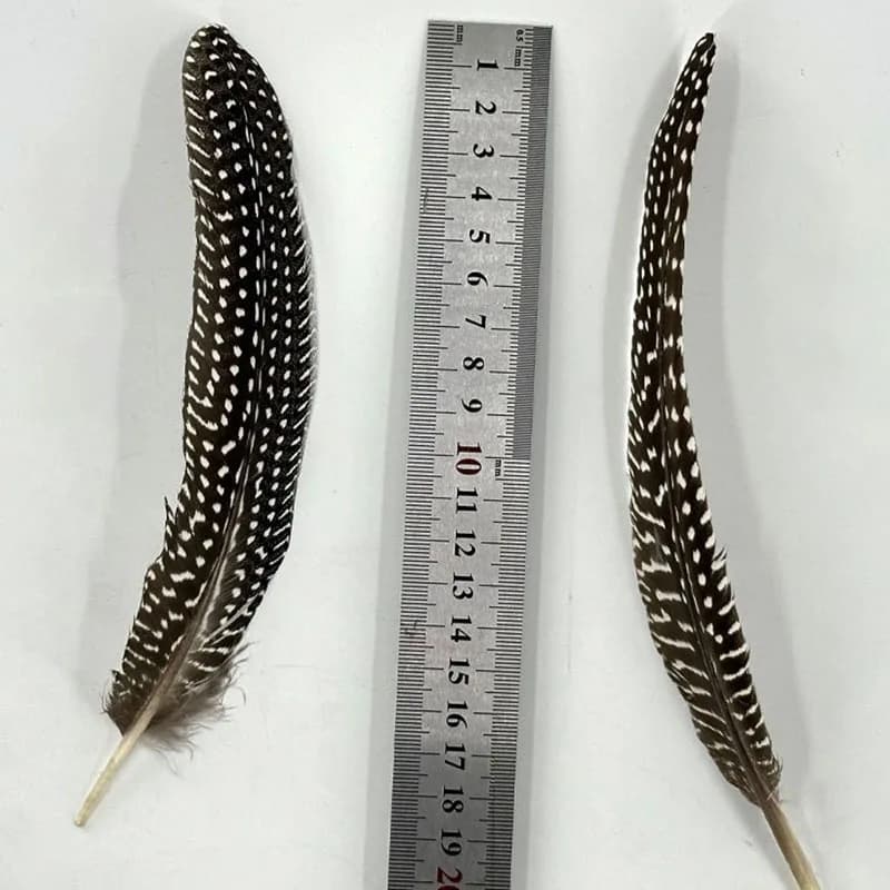 Natural Pheasant Feather Crafts DIY Carnival Accessories guinea fowl Feathers Handicraft Jewelry Earring Decoration Plumes