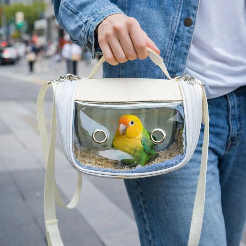 Gabbia Portatile per il Trasporto di Uccelli, Borsa Leggera e Traspirante per Trasporto Criceti, Borsa Trasparente Anti-Fuga per Pappagalli, Borsa per Piccoli Animali Domestici