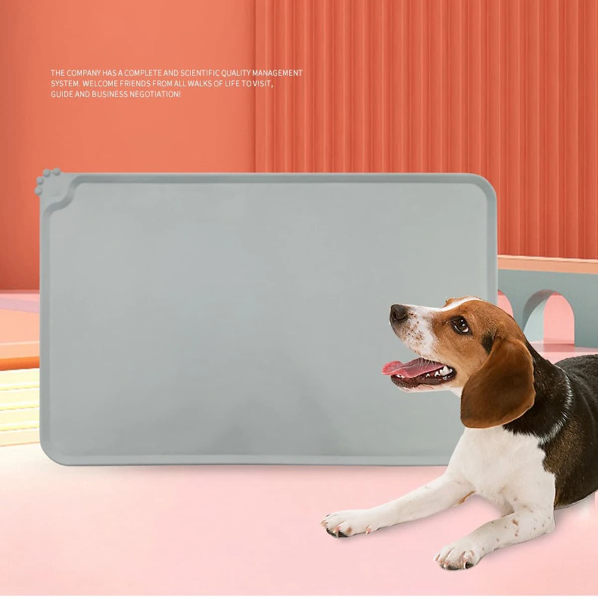 Tovaglietta per animali domestici impermeabile e a prova di perdite, silicone alimentare, antiscivolo, facile da pulire con design a bordo arrotolato per cani e gatti