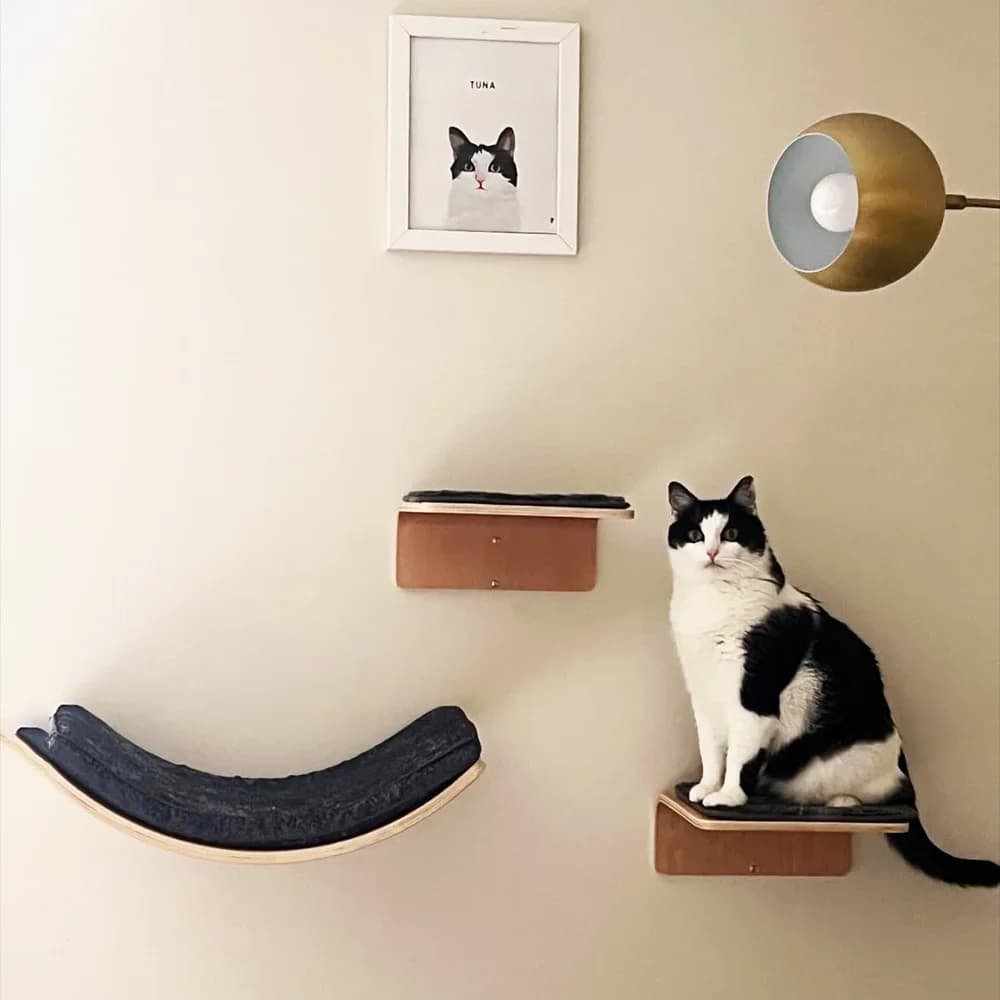 Tronco per gatti con cuscini, piattaforma per gatti da parete, gradini per gatti, sporgenza per gatti curva, letto per gatti montato a parete per dormire, giocare e arrampicarsi
