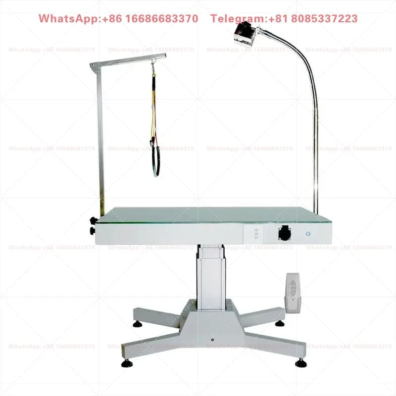LIZE PET Dog Pet Grooming Animal Clinic Cat Dog Hospital Veterinary Electrical Lifting Examination With LED