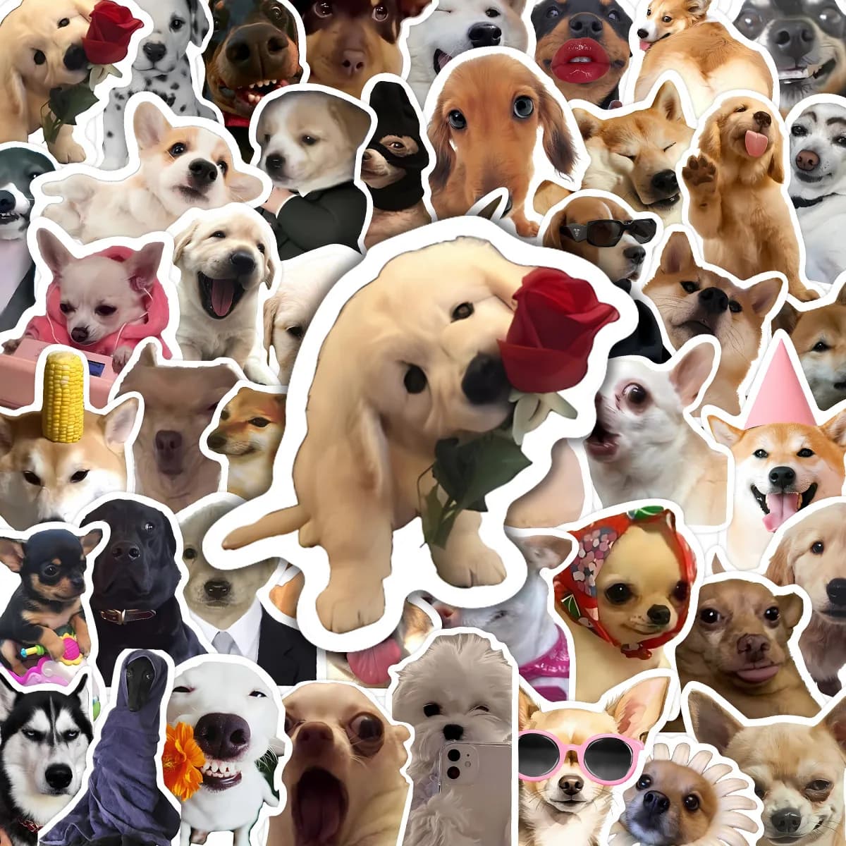 50 Pezzi Adesivi Carini con Meme di Cani in Vinile Impermeabile per Laptop, Custodie per Telefoni, Quaderni, Borracce, Adesivi Fai-da-Te con Cani Adorabili