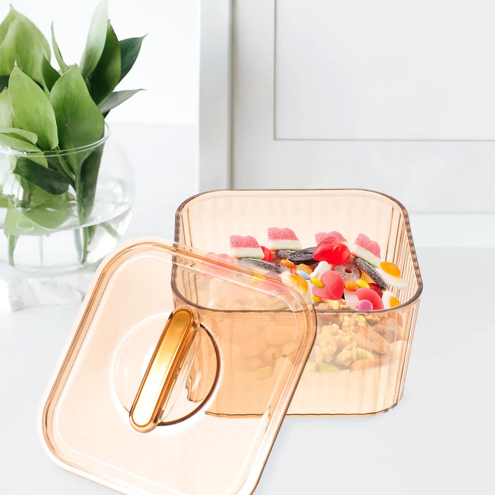 1Set Clear Candy Holder Snack Tray Food Table Tray for Serving Cookies Dried Fruit Nuts Appetizers Decorative Living Room Party